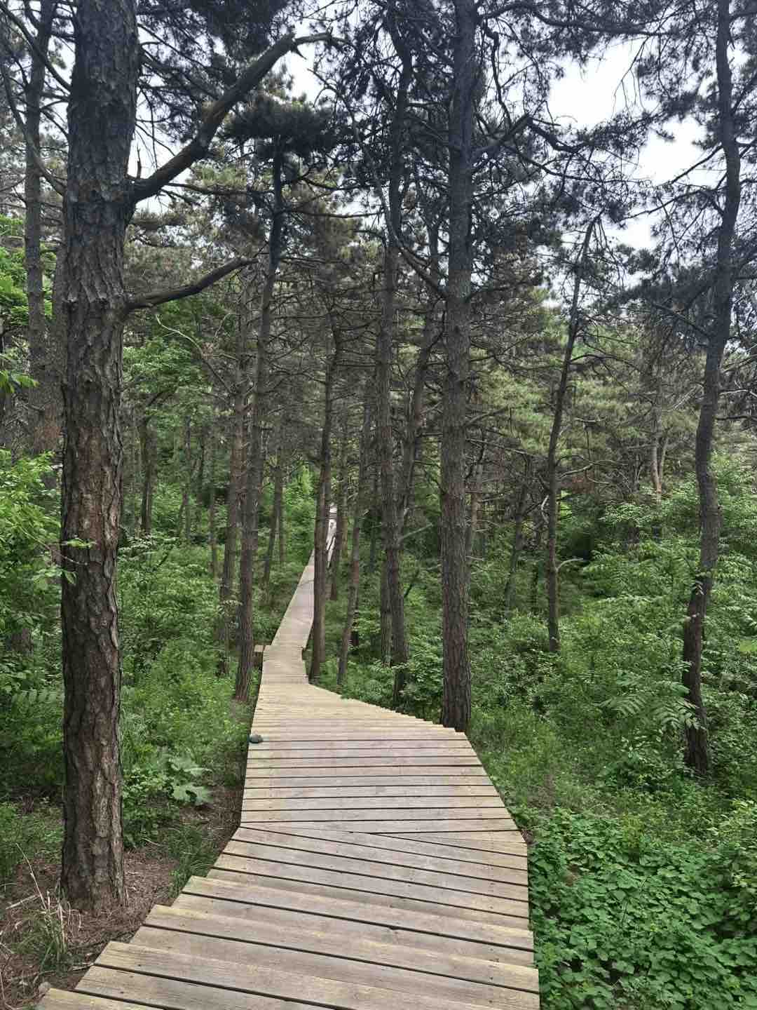 Hiking